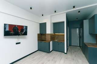 Апартаменты Hotrent Pechersk Lesy 20/22 Киев Апартаменты Делюкс-6